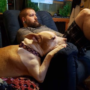 Meet your Posher, Denis